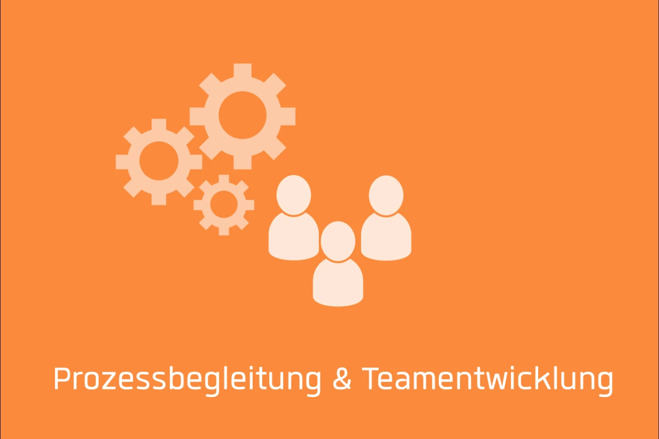 Prozessbegleitung & Teamentwicklung